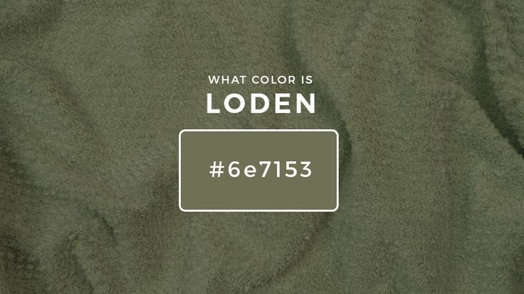Decoding What Color Is Loden Green – Everything You Need To Know!