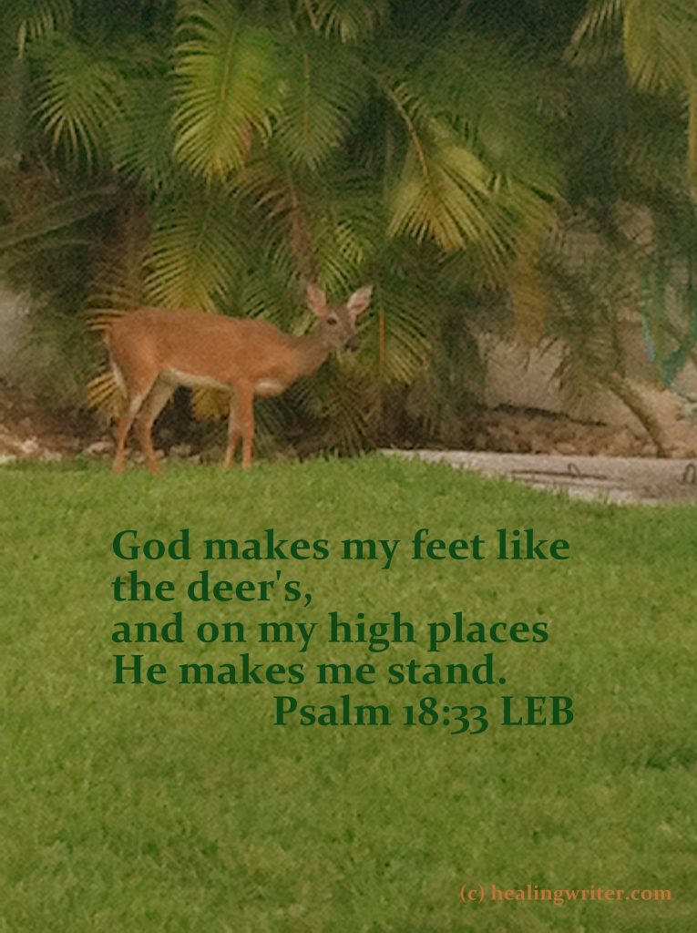 Understanding What Does A Deer Symbolize In The Bible: Insights