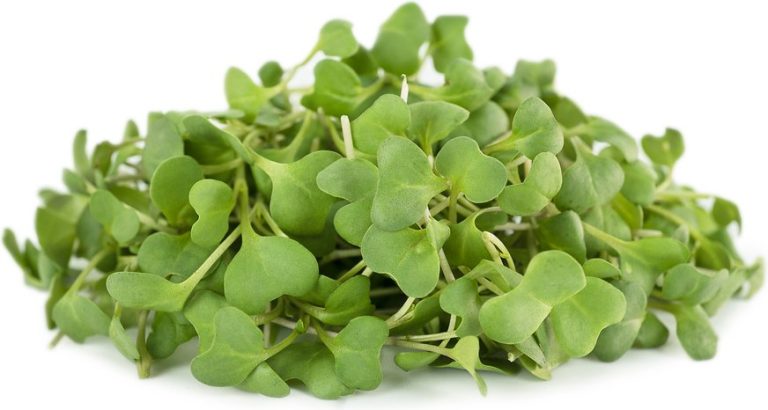 Unlocking The Wonders Of Micro Broccoli: What Is Micro Broccoli ...