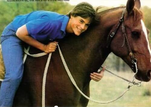 Unveiling The Mystery: What Is The Name Of Sodapop’S Horse