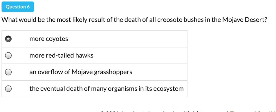 Impact Of Creosote Bushes’ Death In Mojave Desert: Likely Results