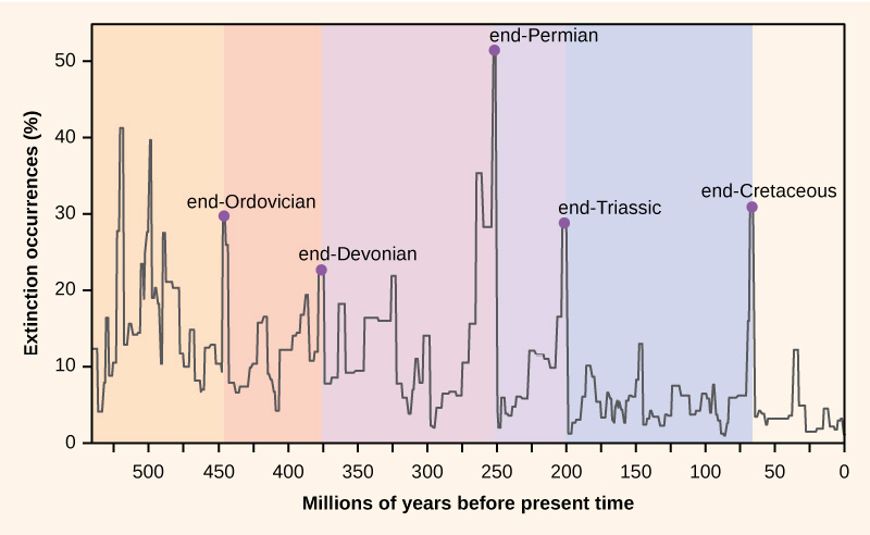 mass extinction event